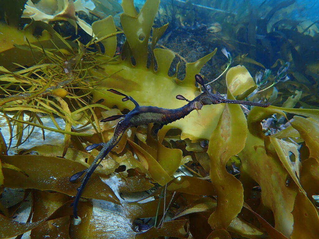 31f50fb5-cf5d-4023-ab19-a9a90e23fff9