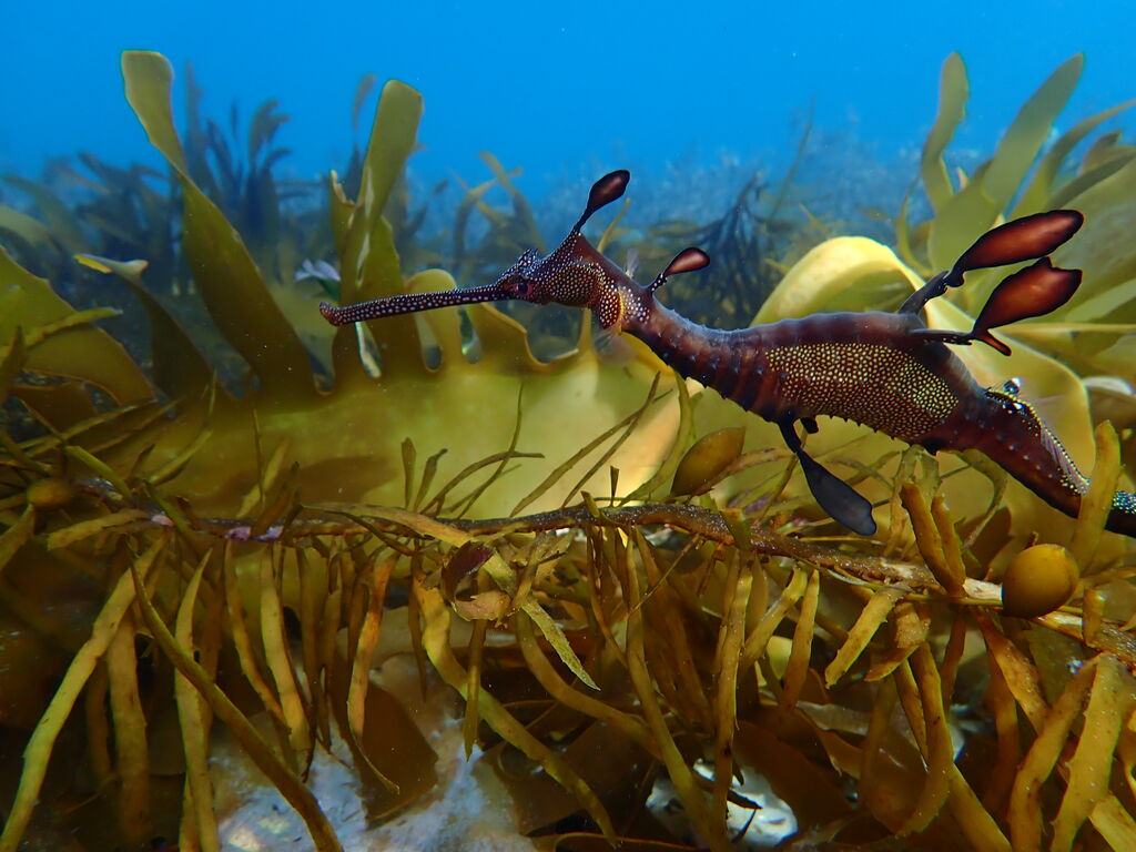 31f50fb5-cf5d-4023-ab19-a9a90e23fff9