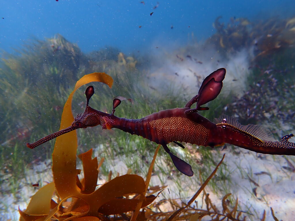 31f50fb5-cf5d-4023-ab19-a9a90e23fff9