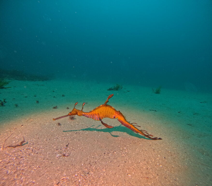 52790c8c-9764-4f24-a327-228e74837ec3