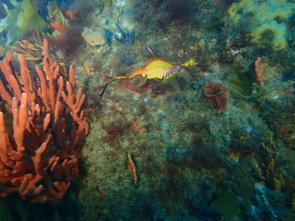 36a0bb36-cc11-447c-bf4e-9ba179ecb7c4