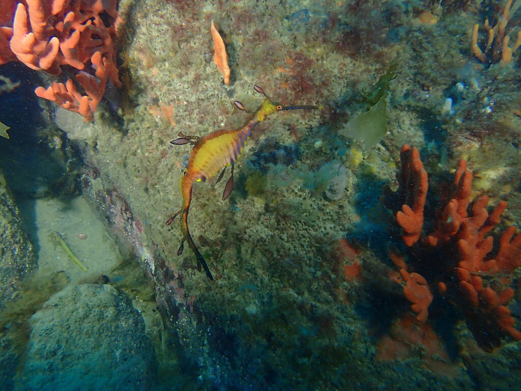 36a0bb36-cc11-447c-bf4e-9ba179ecb7c4