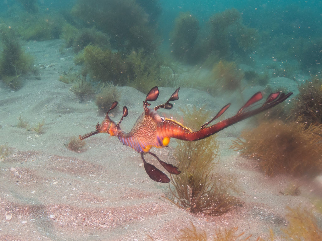 bd611933-f95f-454e-9d66-948d6419de1e