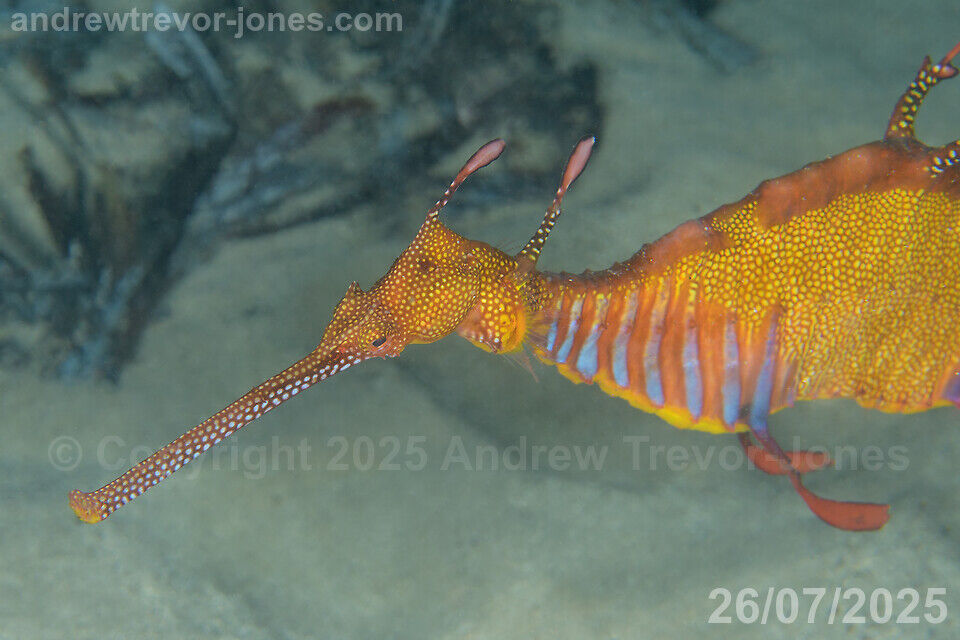 86f44478-77a9-475c-9b15-f868bed3b077