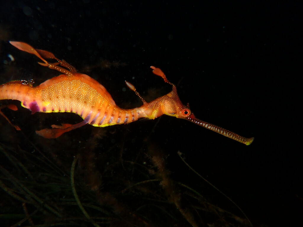 82951df7-d16e-4ee3-b287-06a955724fe7