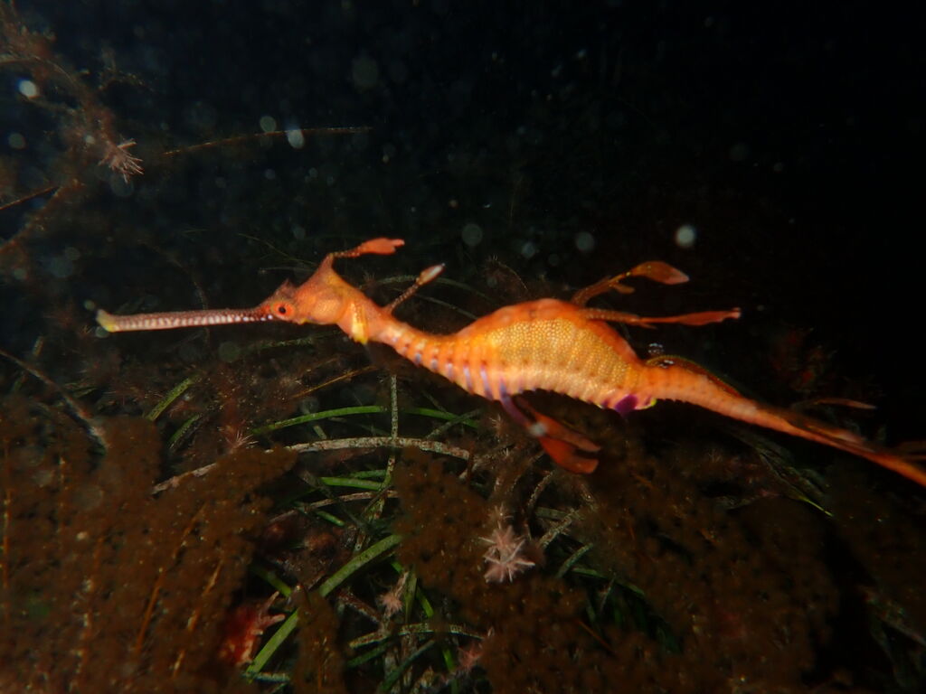 82951df7-d16e-4ee3-b287-06a955724fe7