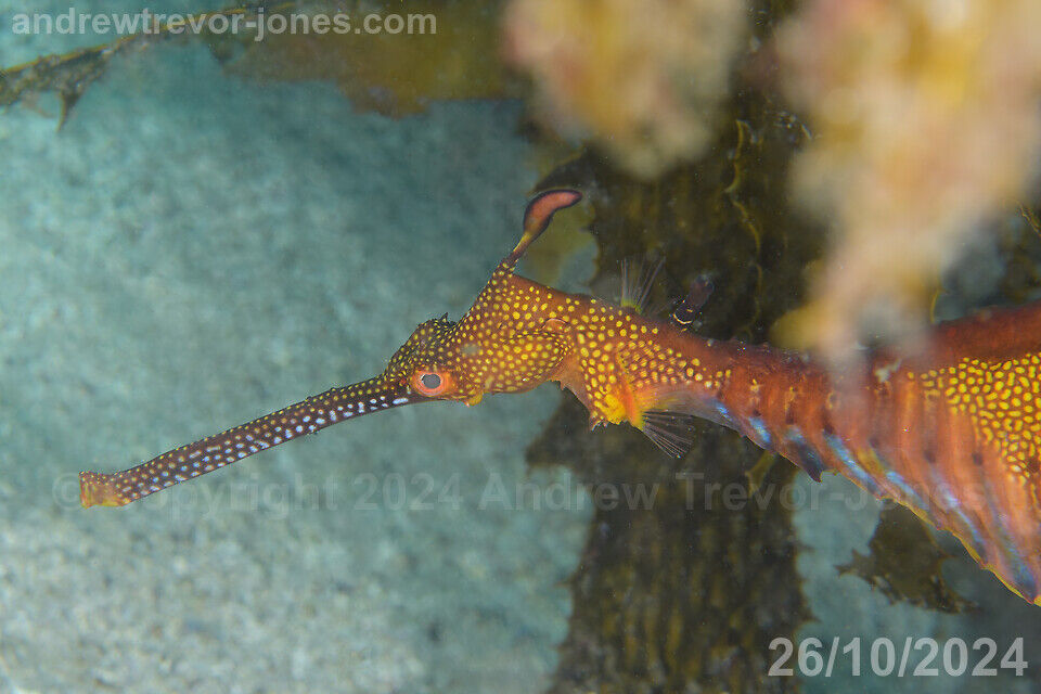 135d2e87-712e-44c5-a3ab-9680b821ad87