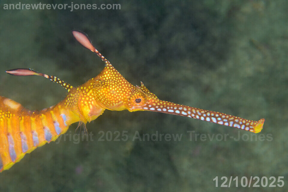 fe91530e-96c2-43e1-be18-b5fae1db7e6b