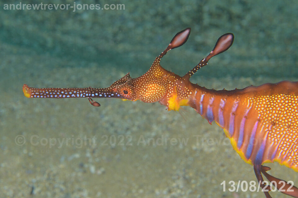 1a6e4338-813e-4ba0-be2c-79419c73fde7