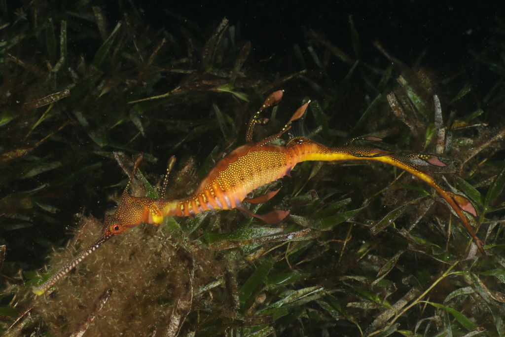 fd7fda8c-6a27-4a3b-b09a-312b9d12539f