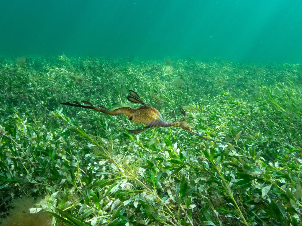 2759819a-0675-402a-b504-4bcbd540381d