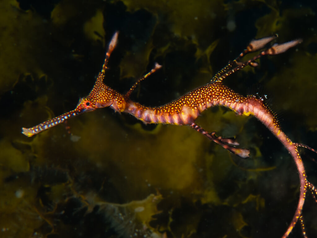 794aa94d-9ac7-47bf-ae8a-0816448bb0d7