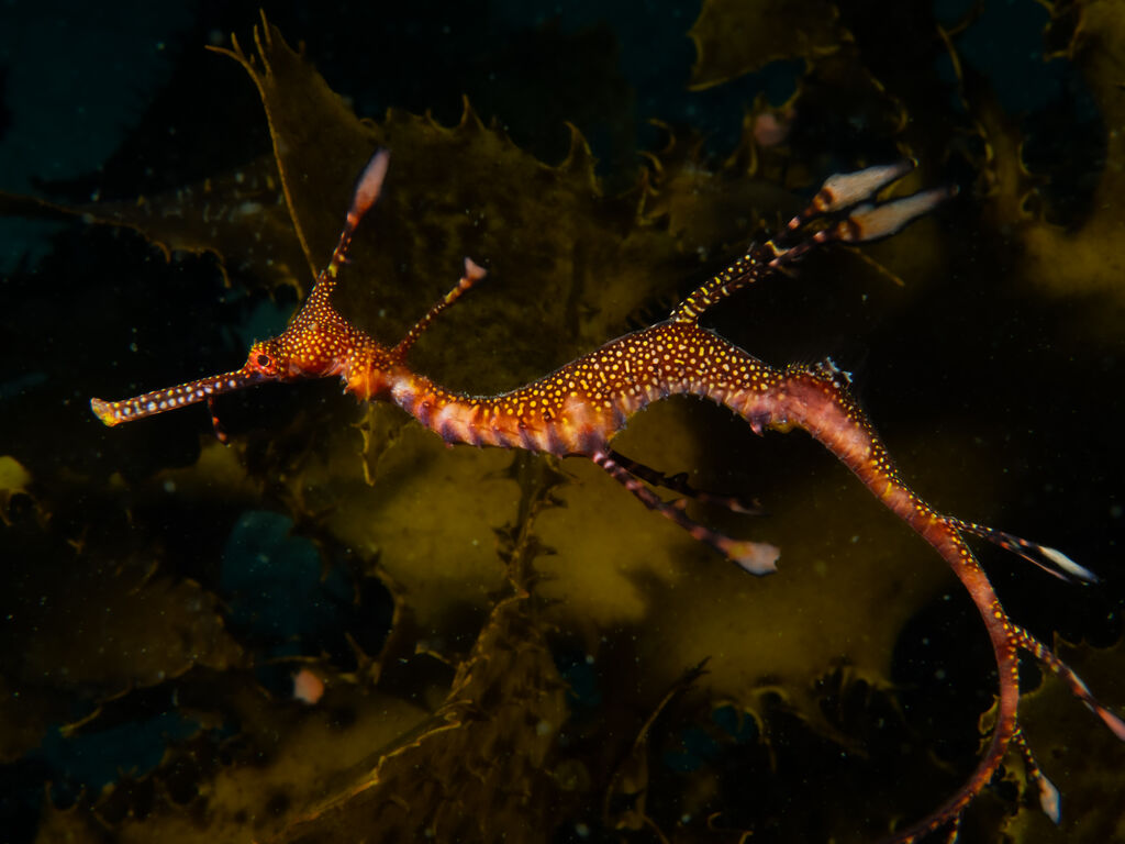 794aa94d-9ac7-47bf-ae8a-0816448bb0d7