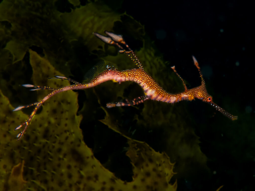 794aa94d-9ac7-47bf-ae8a-0816448bb0d7