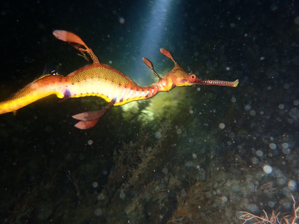 64ab5c6e-3875-4142-9bdf-e47fe808fea4