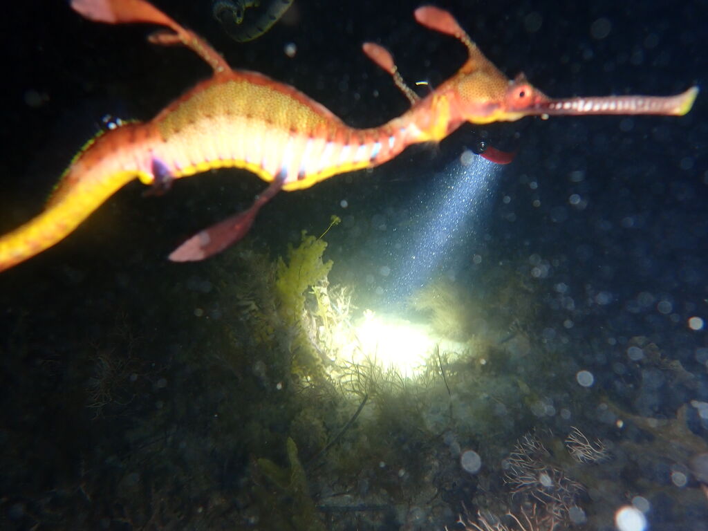 64ab5c6e-3875-4142-9bdf-e47fe808fea4