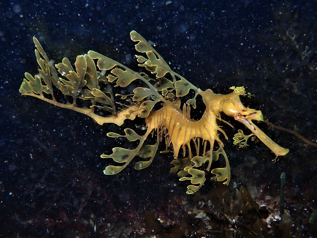 5c8d1d0c-82c1-49eb-b234-b85785ad591b