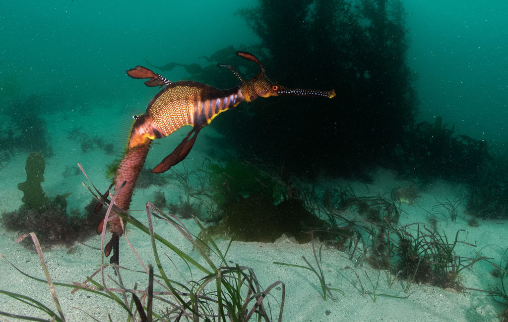 5ec4c215-9cc0-45b1-b918-81d101655a1c