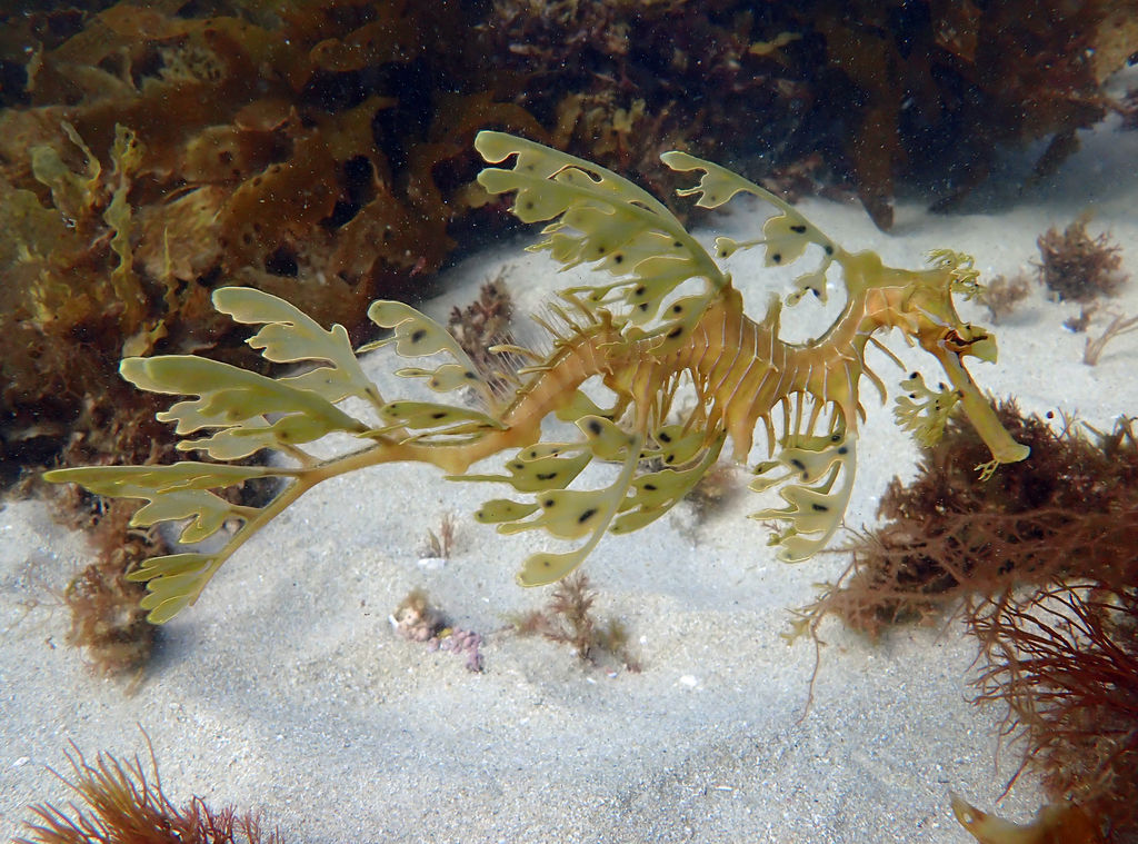 5c8d1d0c-82c1-49eb-b234-b85785ad591b