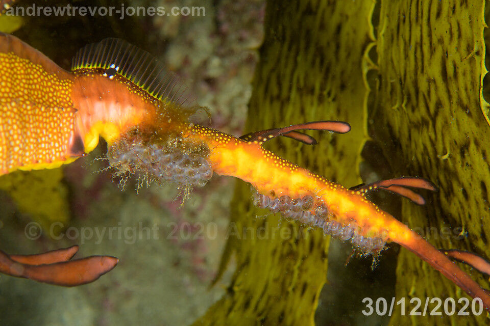 669125cb-42e5-4935-90f4-45e3039ec8a7