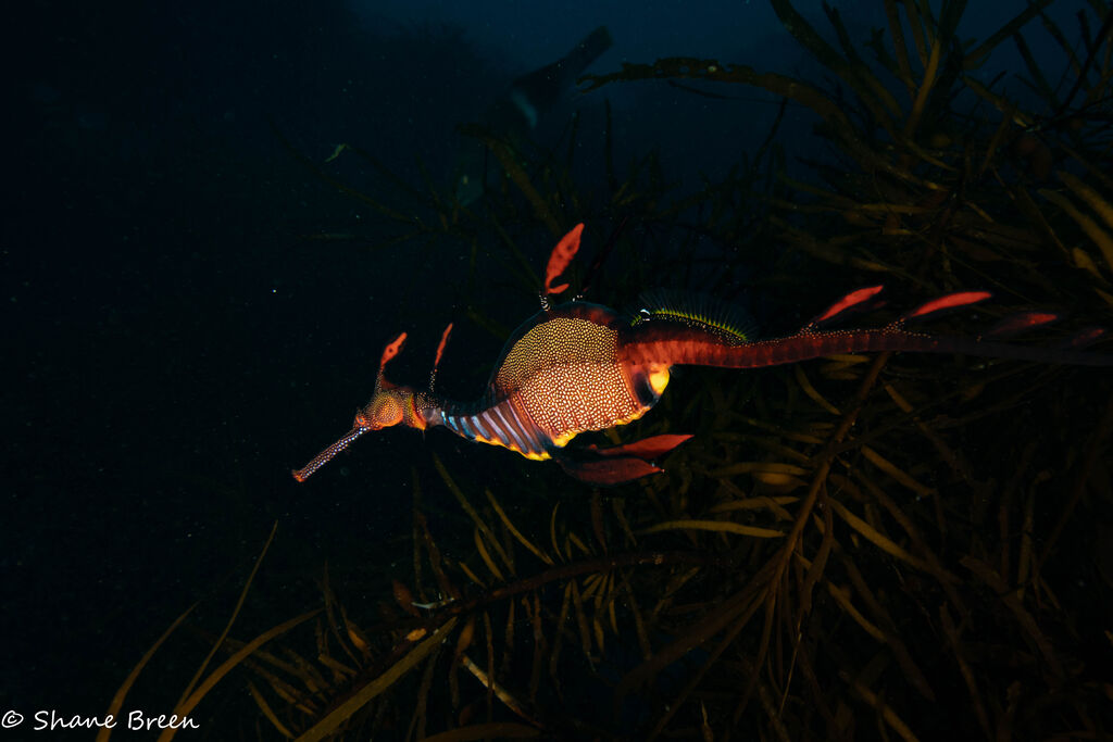 051c55ee-d199-4e29-83fe-5a85f9d81d0a