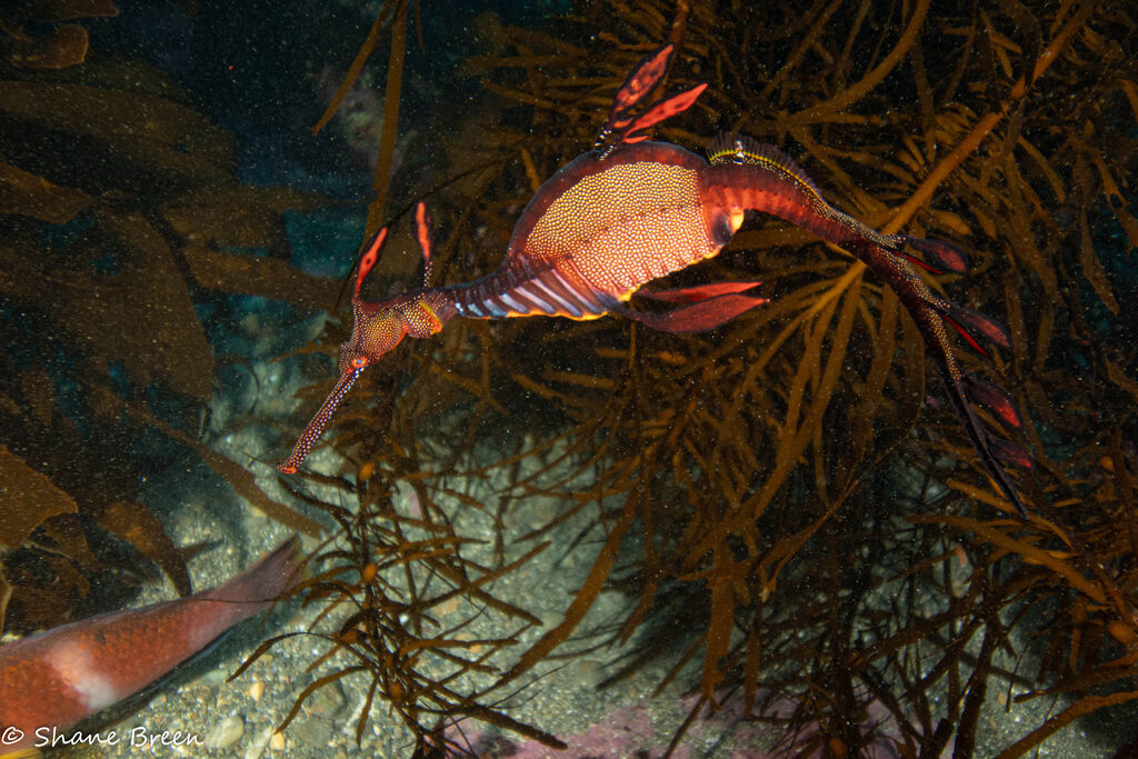 051c55ee-d199-4e29-83fe-5a85f9d81d0a