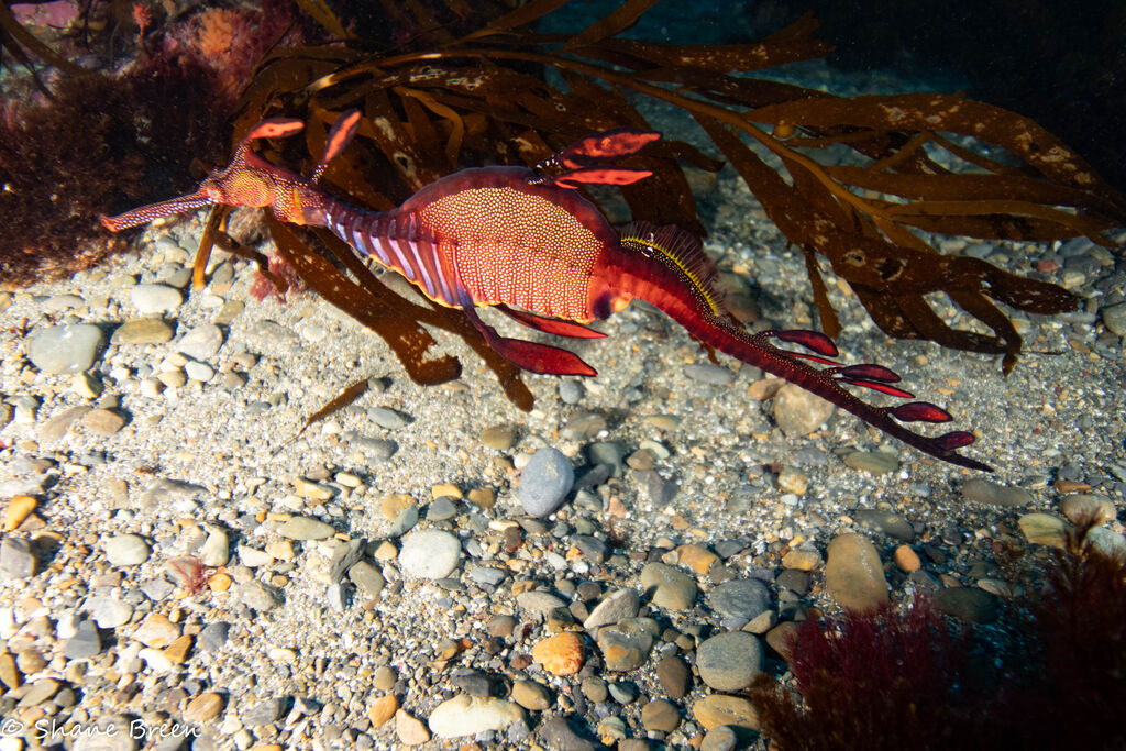 051c55ee-d199-4e29-83fe-5a85f9d81d0a