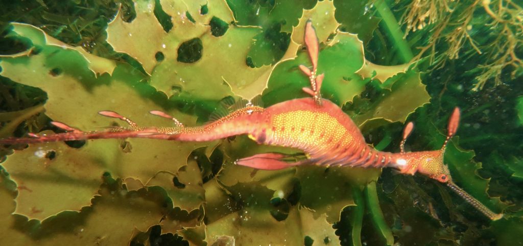 ac478aa5-281a-4943-8f81-746283800665