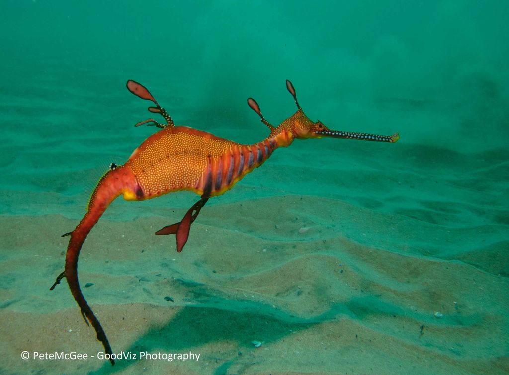 984d9dd7-869c-46ce-a81a-109184f48d83