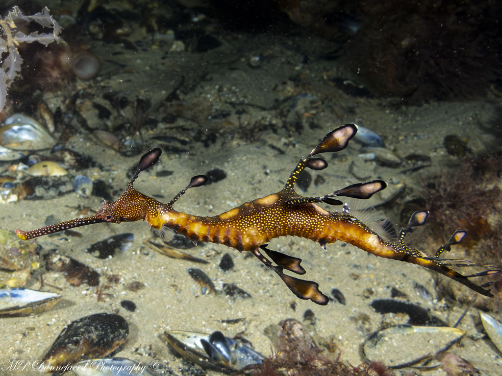 7c92f72f-56fb-49a7-83c7-7eb194b0ab2d