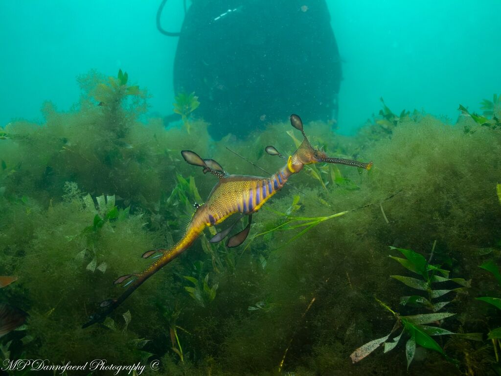 702c8bf2-6e8b-4501-89be-f27e656046b6