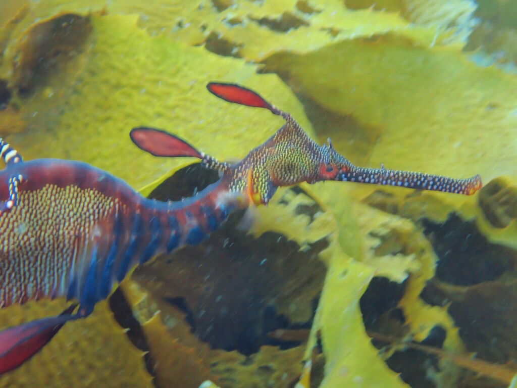 76b0d291-62a5-4e34-baf1-14eae110b94c