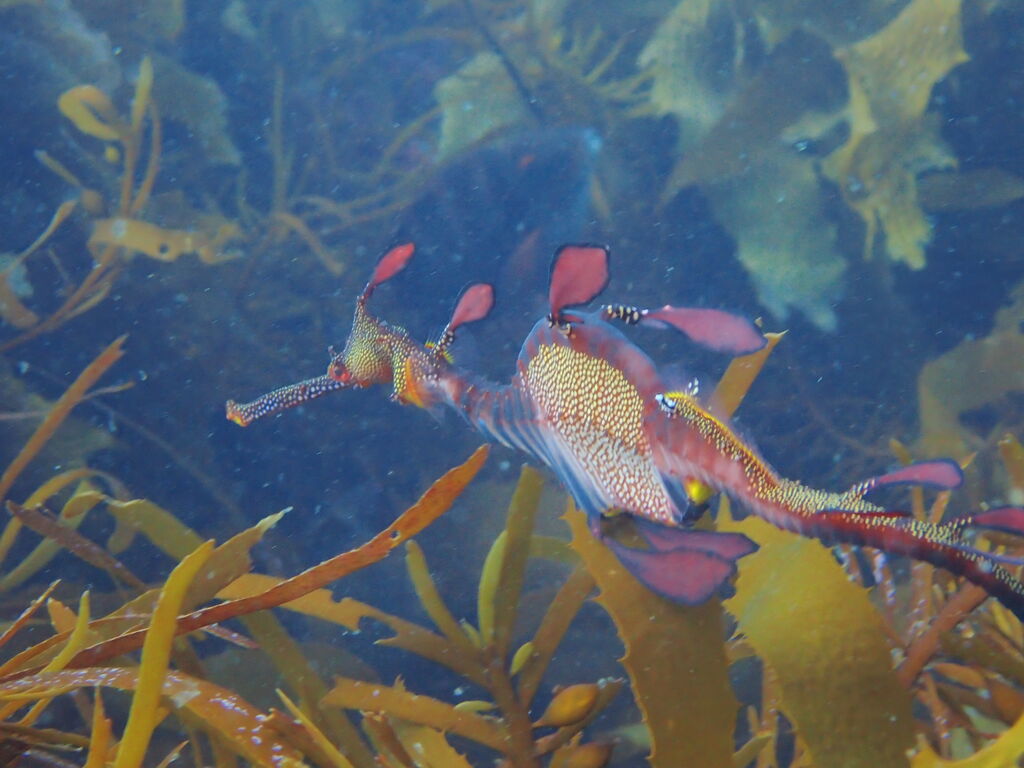 76b0d291-62a5-4e34-baf1-14eae110b94c