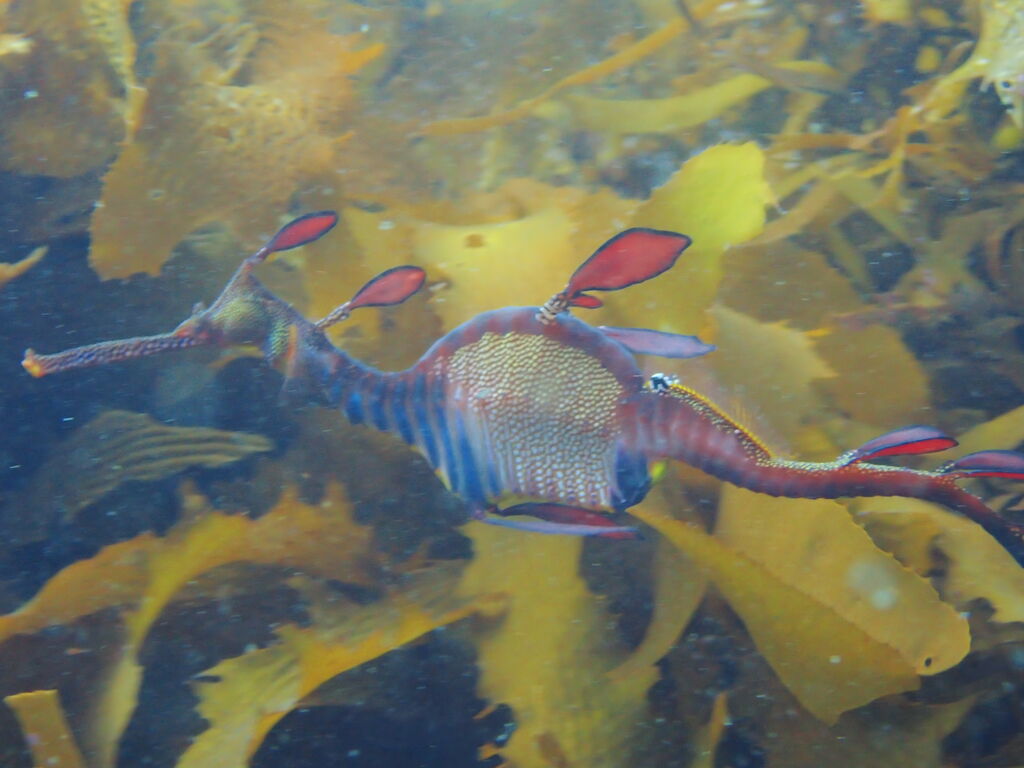 76b0d291-62a5-4e34-baf1-14eae110b94c