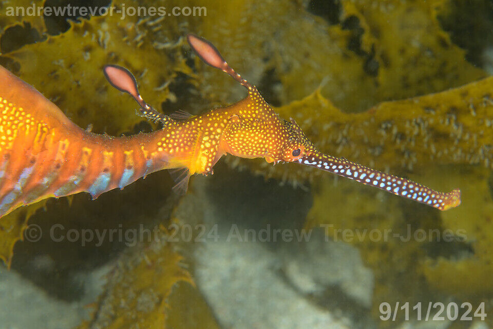 179c6a03-1670-4fa0-9334-8295a5a7e807