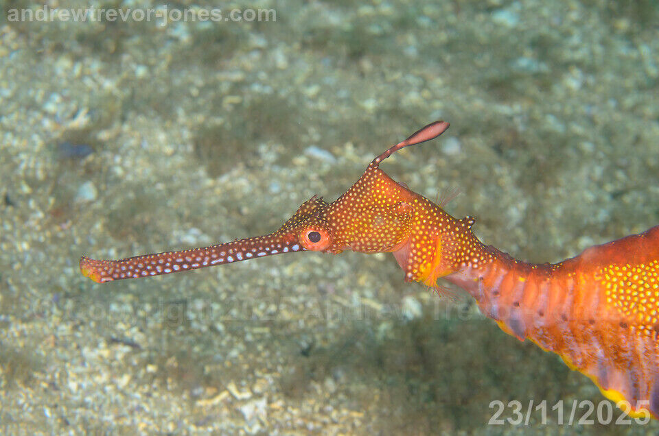 c5ac0275-c6de-4cc2-a9c9-861afe33c75e