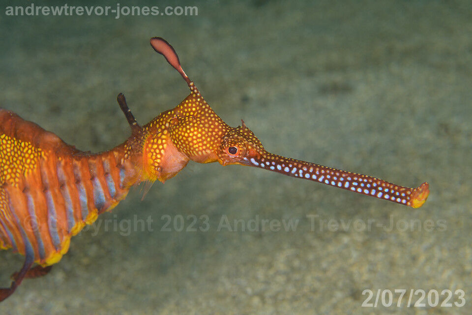 135d2e87-712e-44c5-a3ab-9680b821ad87