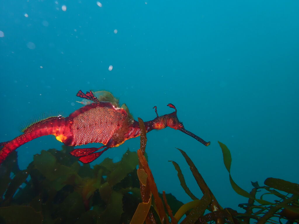 fdd5b70a-b8a0-4328-a29c-4866cf278ed1