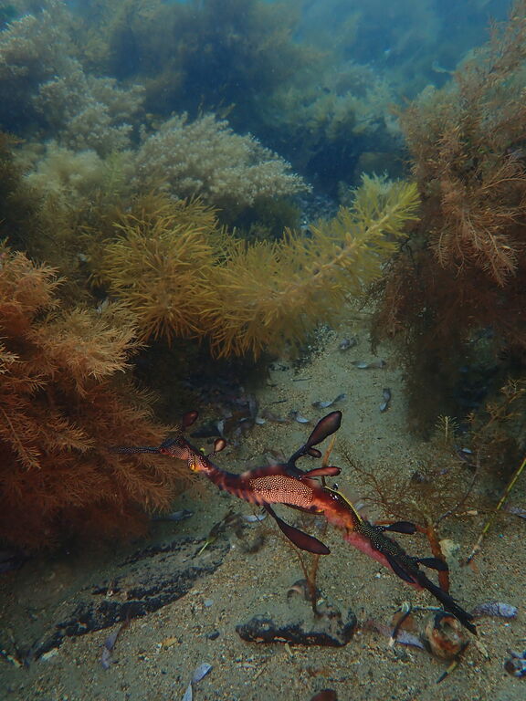 ccdee8ef-5f2a-4614-bba1-fa13cd78d47a