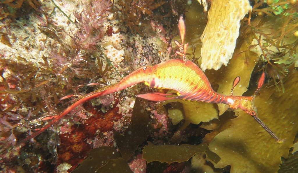 ac478aa5-281a-4943-8f81-746283800665