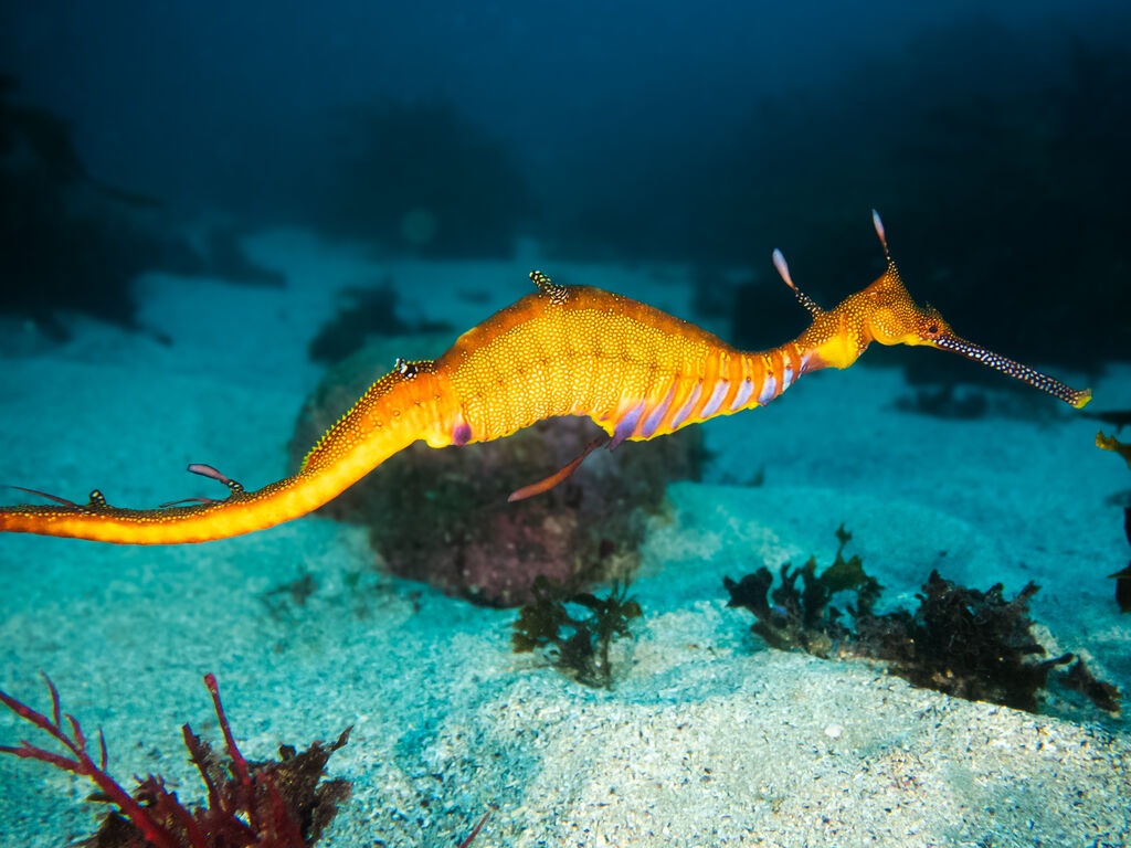 872b1e29-ebfa-4a70-963d-74faaad2f890