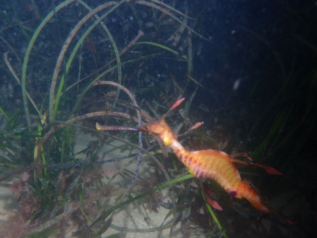 83fc6528-90a8-49d3-8c4d-1ed38d339fd1