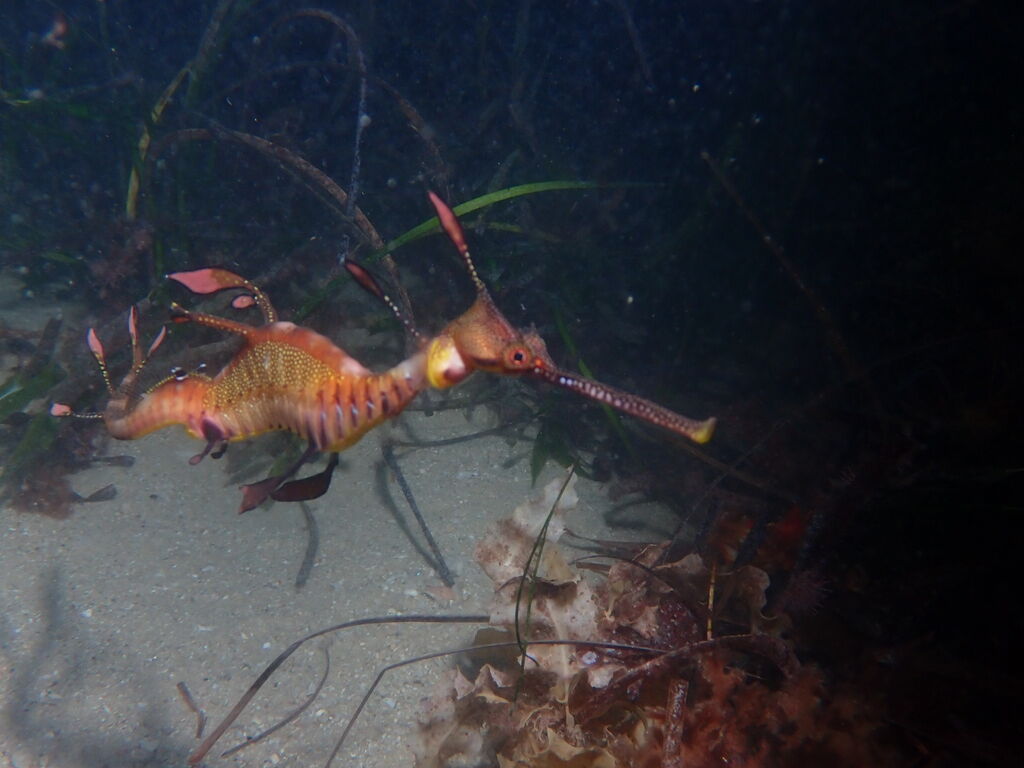 83fc6528-90a8-49d3-8c4d-1ed38d339fd1