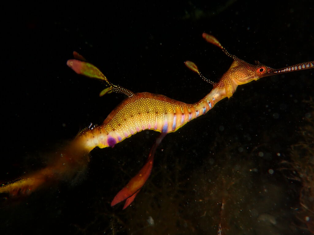 8bf71462-4eae-4e0f-b6c1-a13d4413f374