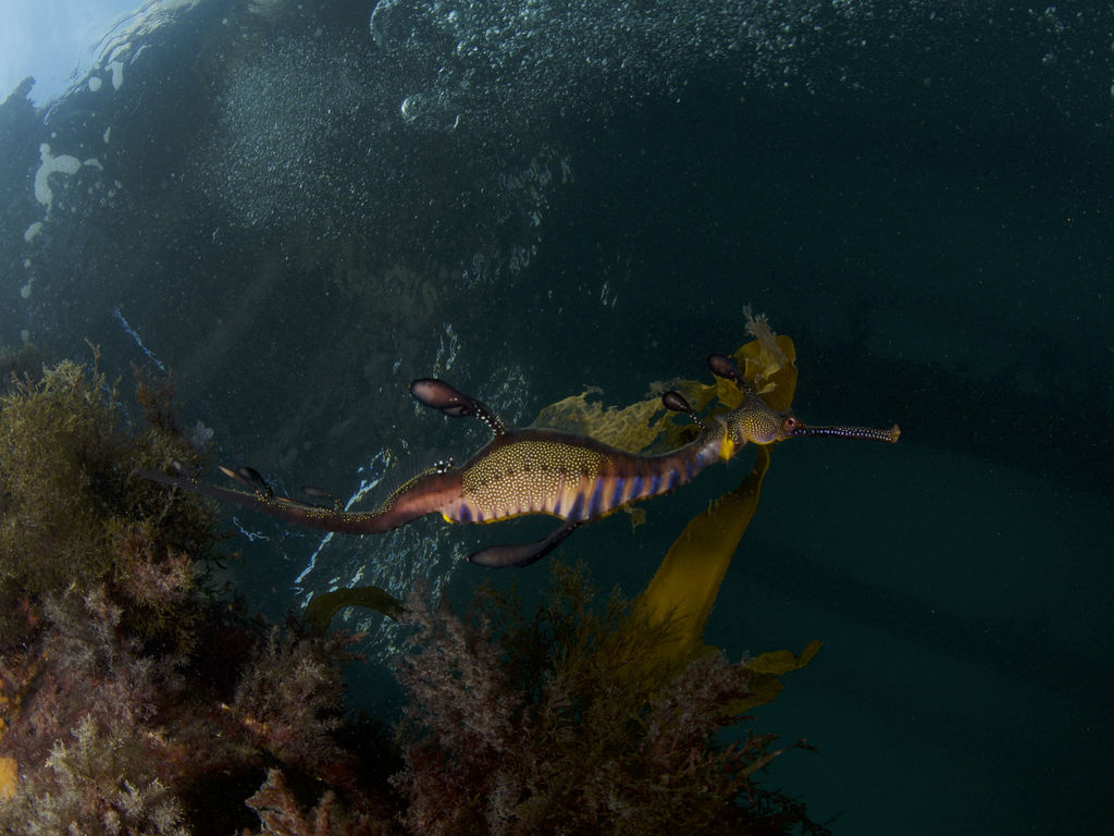 9f6c969a-97aa-425e-a7b1-f475dcdd3856