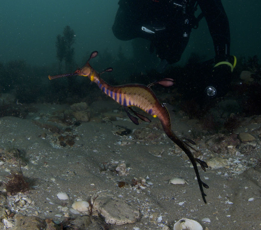 9f6c969a-97aa-425e-a7b1-f475dcdd3856