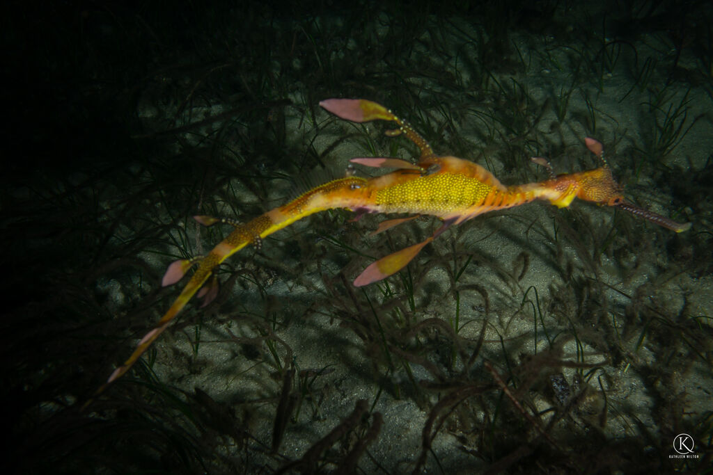 c9dc75c8-1b9d-4a15-8022-b19dba5b9984