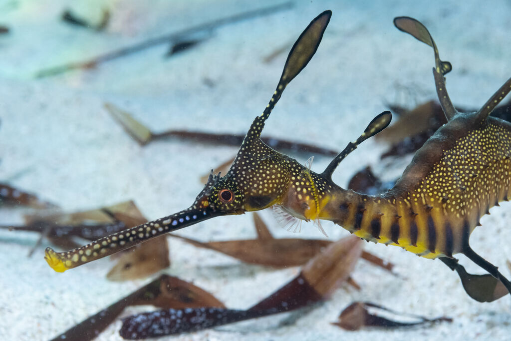 68a25676-6e63-4247-81df-1dac6dd7a563