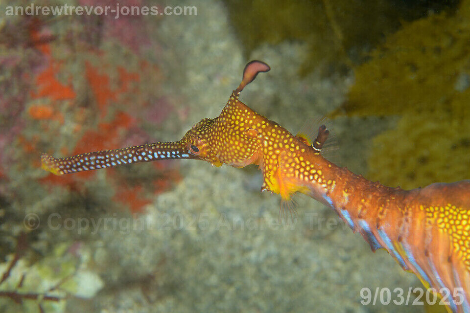 135d2e87-712e-44c5-a3ab-9680b821ad87