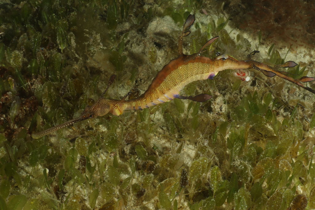 2a5890b0-f787-4df1-b4a0-99a27426d05e